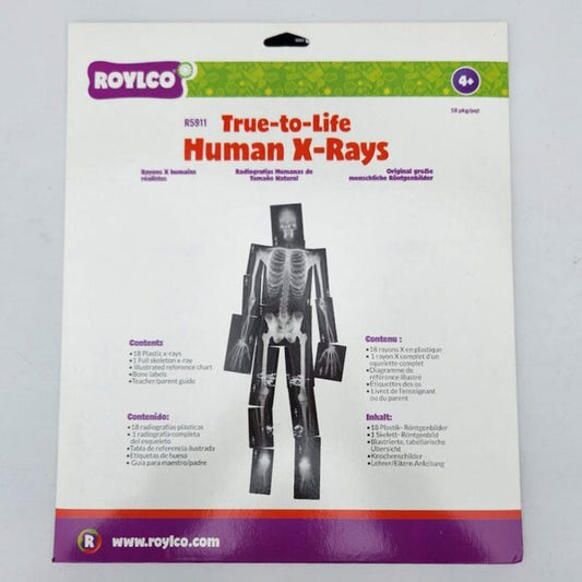 True to Life Human X- Rays